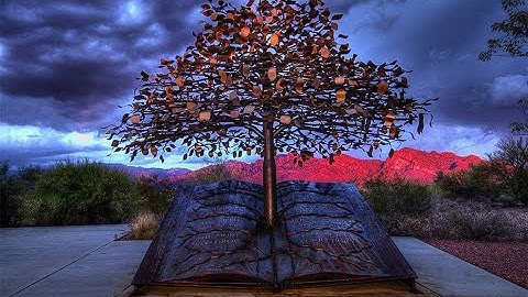 Tree of knowledge of good and evil identified