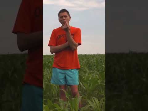 Ильдар Авто-подбор нужно ли заливать масло в фильтр?