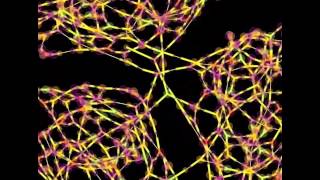 Chemlambda experia trailer 1