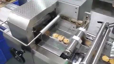 Servo Driven Horizontal Flow Wrapper AHP 400S couple with Biscuit in feeder