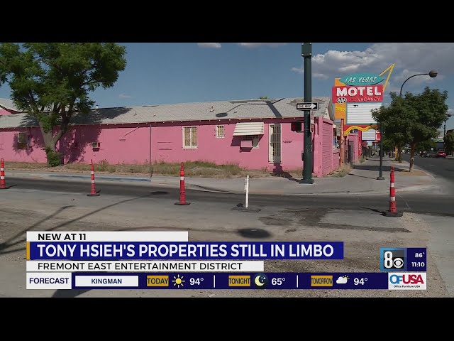 Las Vegas motels owned by Tony Hsieh estate still in limbo class=