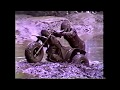 BLACKWATER 100. 1989. America's Toughest Race" "The Quads"