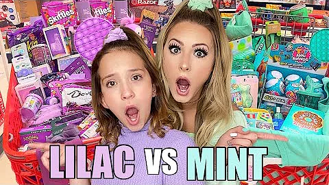 MINT VS LILAC NO BUDGET SHOPPING SPREE!