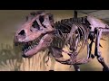 Cranbrook institute of science will have trex experience oct 1april 30