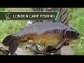 Carp fishing alfie russell at hampstead heath london nash hgun