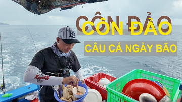 Câu Cá Côn Đảo Ngày Mưa Bão / Săn Cá Mú Đỏ Cực Hiếm