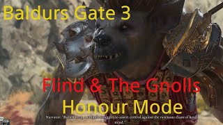 Baldurs Gate 3 Honour Mode Flind & The Gnolls
