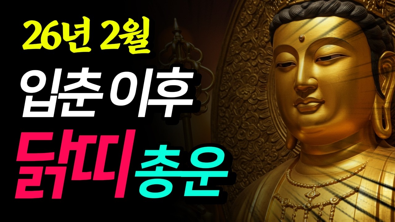 (충격 반전) 26년 2월 입춘 이후 닭띠 총운! 일상속에서 대운폭발시키는 절묘한 방법