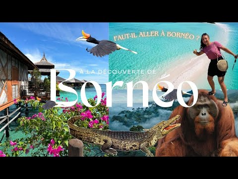 Bornéo, Le paradis caché que personne ne connaît !