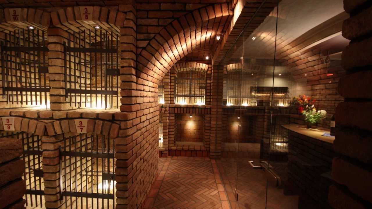 Baumeister Reinhard Bayer - Weinkellerbau / Gewölbebau / Weinkeller  Wertheimsteinpark, Wien 19