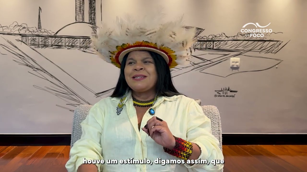 Deputada Sonia Guajajara diz que governo Bolsonaro desmontou política indigenista Deputada Sonia Guajajara diz que governo Bolsonaro desmontou política indigenista