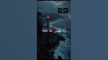 اسمع للتلاوة الخاشعة  ❤️🥲 و اكتب شيء تؤجر عليه يوم القيامة