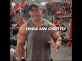 Single Arm DB Fly