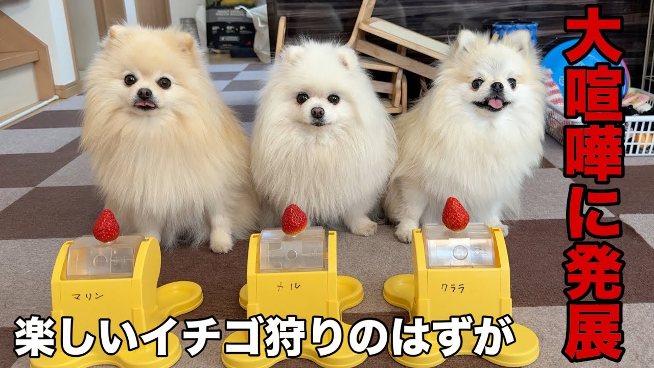 今回の喧嘩はさすがにビビりました