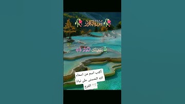 أكتب شيء تؤجر عليه 🕊️🌲🌳🌴القرآن الكريم راحة نفسية ♥️❤️😍