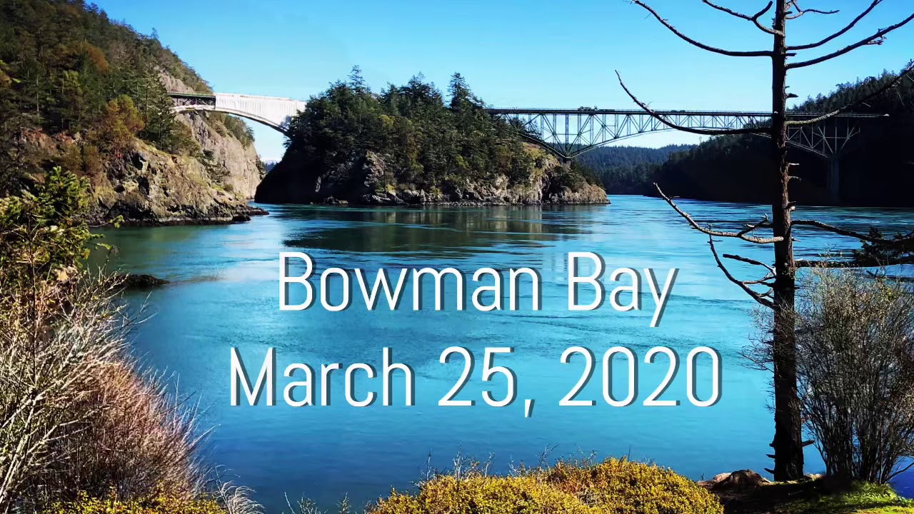 Bowman Bay YouTube