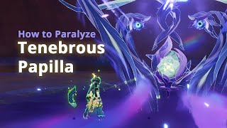 How to beat \u0026 paralyze Tenebrous Papilla (Chasca boss material) | Genshin Impact