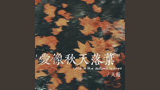 愛像秋天落葉