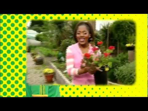 Boogie Beebies English Full Episodes Gardening Youtube