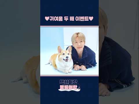 🐶귀여움 두 배 이벤트🐶 #백현 #<strong>BAEKHYUN</strong> #몽룡 #Mongryong