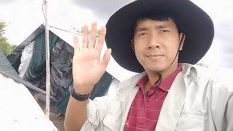 Sử dụng phân trùn quế như thế nào thì hiệu quả và đúng cách!?