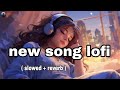 New song  lofi slowed  reverb  best lofi slowed reverb song   new lofi song 2024  nonstop lofi