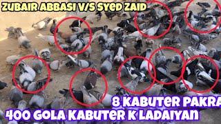 8 kabuter pakra | Zubair Abbasi V/S Syed Zaid | 400 gola Kabooter k ladaiyan | 2 din | Gola kabuter