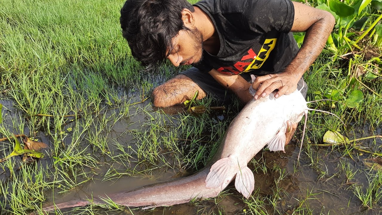 Amazing Boy Catching Fish By Hand In Mud Water . Fishing Video. - YouTube