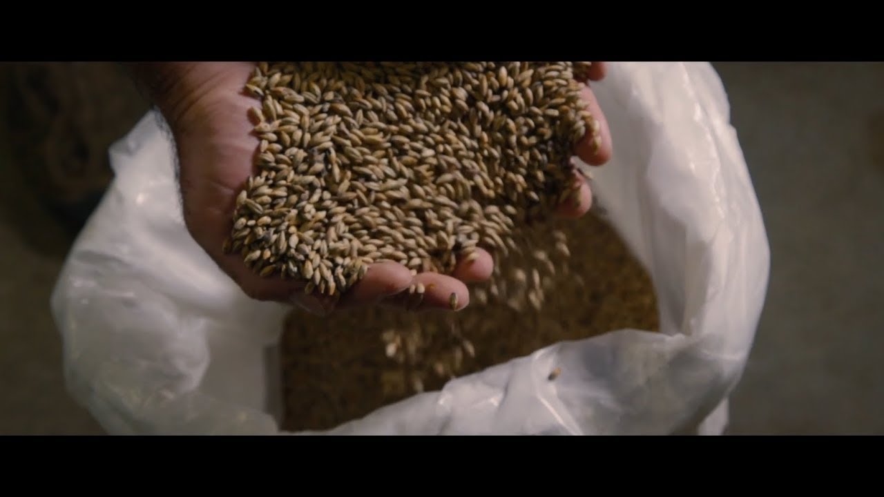 New England Brewing Co.