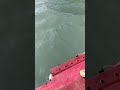 Test perahu sederhana buatan sendiri buat mancing di laut
