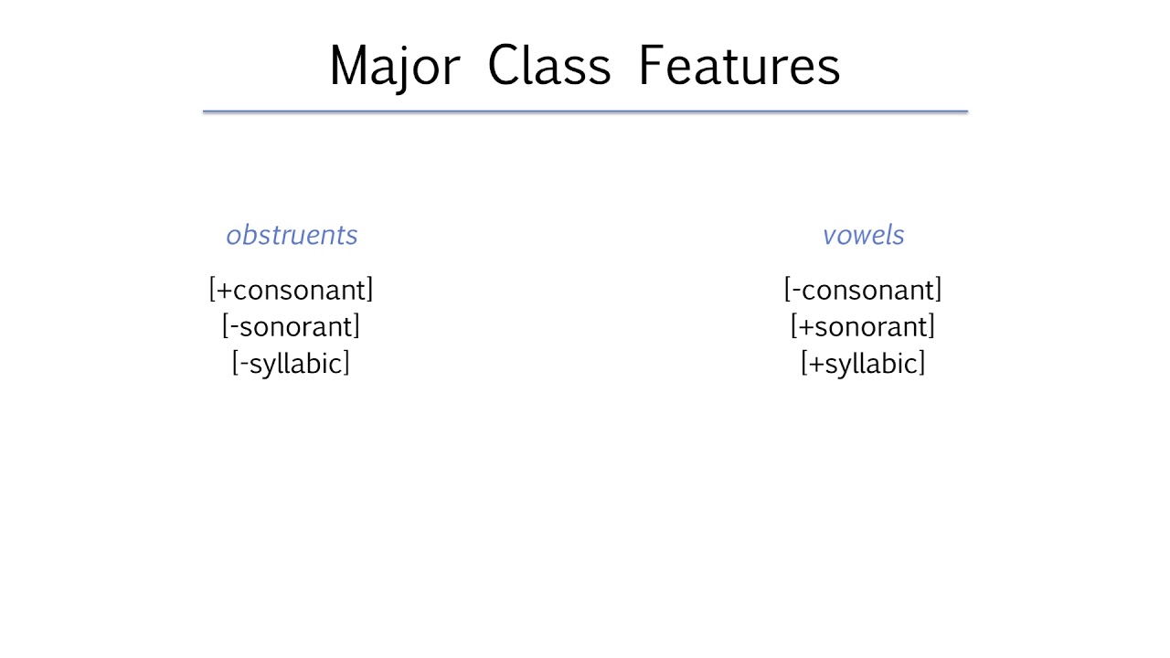 Consonant Feature Chart