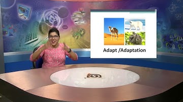 L-4 : PRINCIPLES OF ECOLOGY (Part-4.1.1)