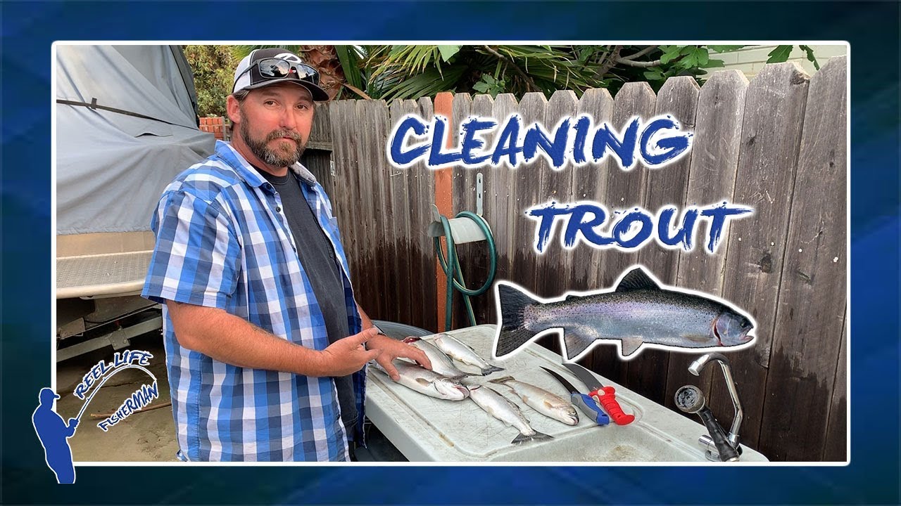 RAINBOW TROUT CLEANING AND FILLETING YouTube