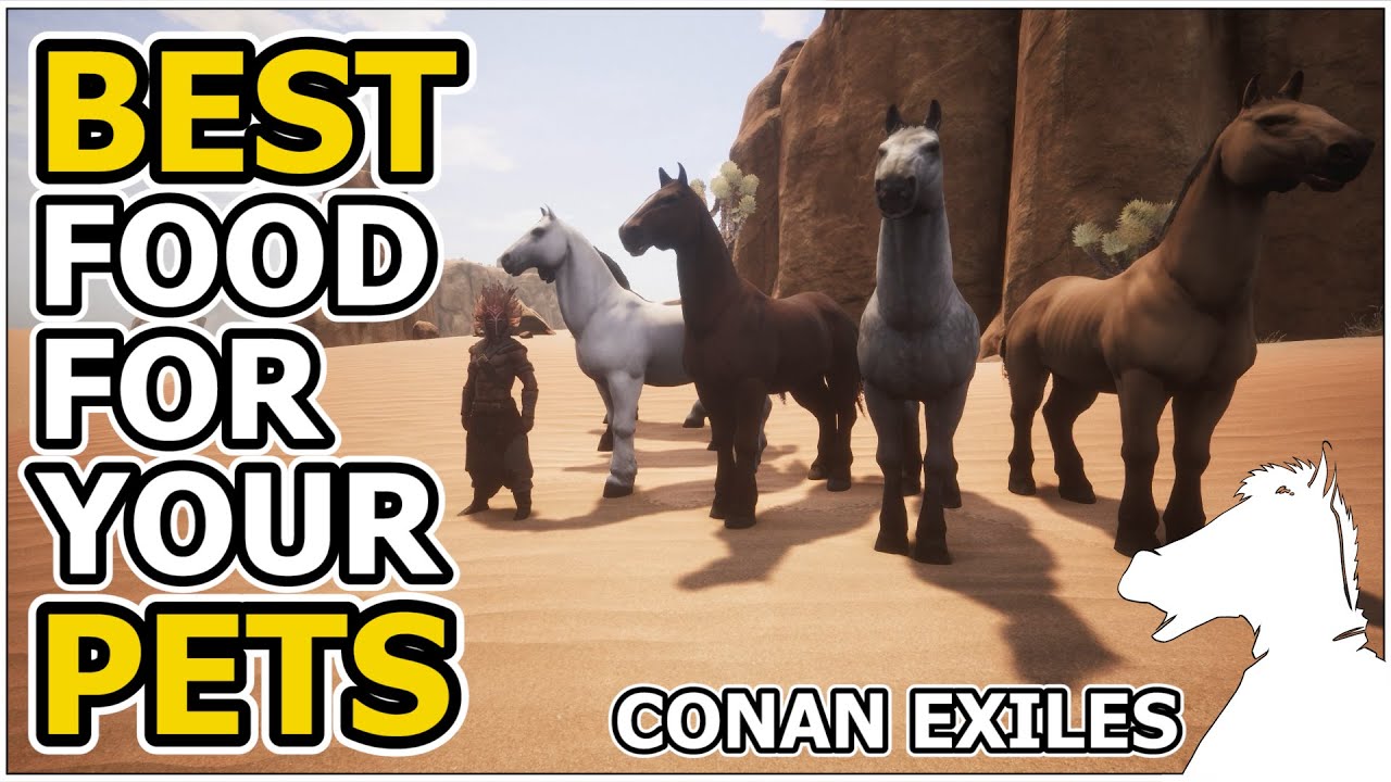 Best food for your Pets | CONAN EXILES - YouTube