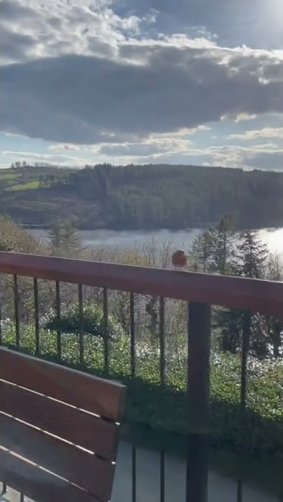 🫣👀My goodness - did you see that!  Lady of the lake #shorts