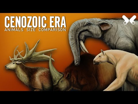 CENOZOIC ERA . Animals Size comparison. Paleoart