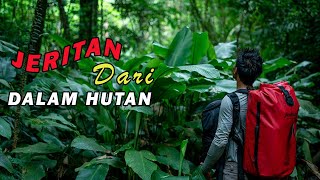 SUARA JERITAN DARI DALAM HUTAN || Penelusuran