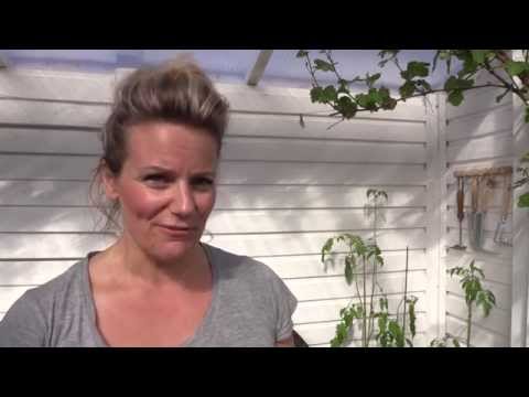 Video: Plantera Tomatplantor Och Ta Hand Om Det