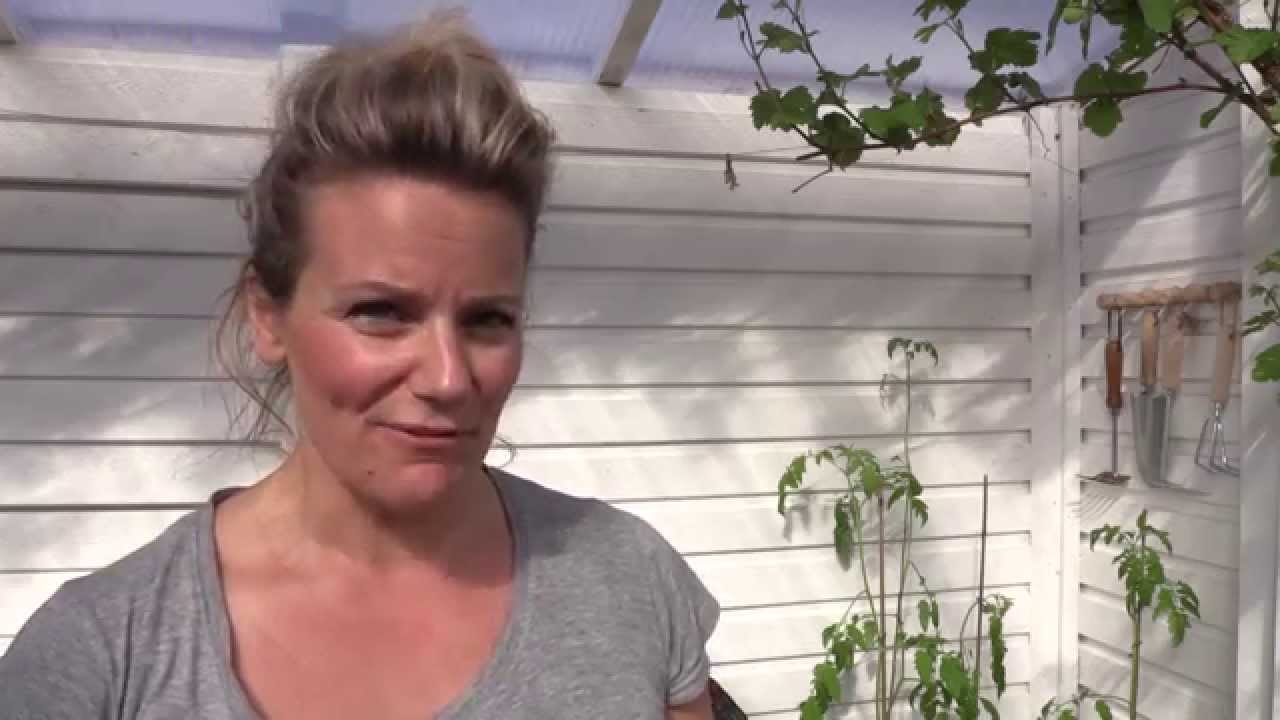 Lyckas med din tomatplanta - få massor av egna tomater!