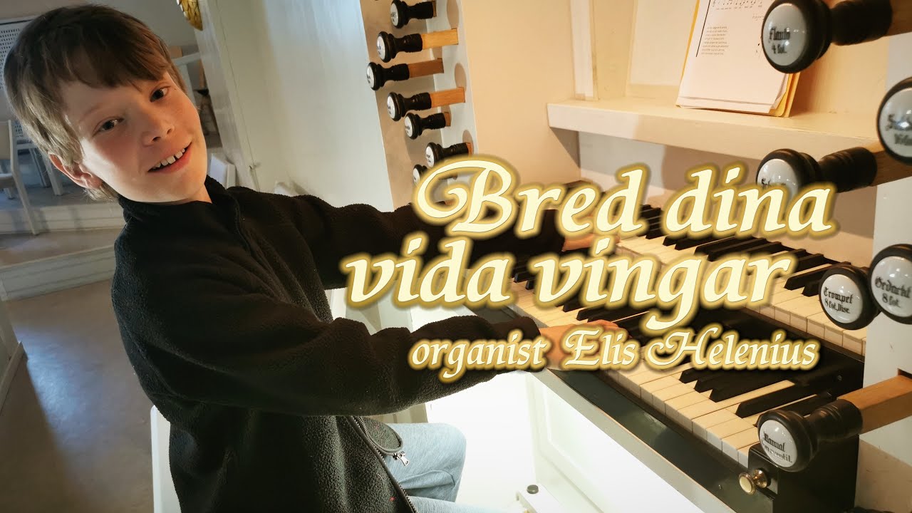 BRED DINA VIDA VINGAR med organist Elis Helenius