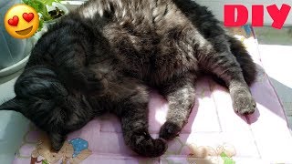 🐾🐱🐶 Подстилка-лежак для животных своими руками 🐾🐱🐶 Подстилка-лежак для животных своими руками