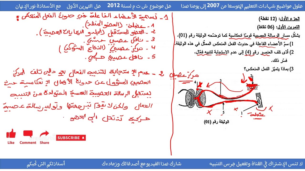 حل تمرين حول الفعل المنعكس والقوس الإنعكاسية علوم طبيعية سنة 04 متوسط