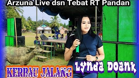 Lagu Jambi - Kerbau Jalang - voc. Lynda Doank - Official management arzuna music