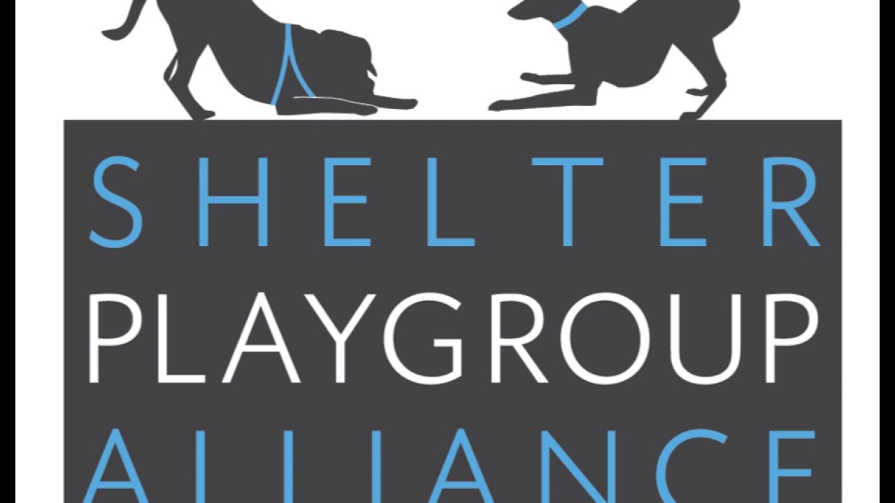 Shelter Playgroup Alliance: Managing Arousal for Safe and 