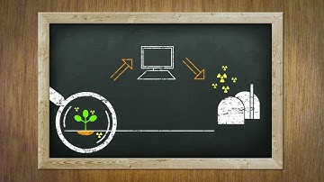 What happens when radionuclides are released?