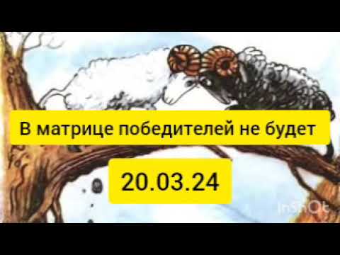 Победителей не будет в матрице. 20.03.24