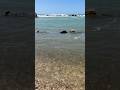 Relaxing #travel #italy #civitavecchia #rome