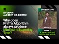 Why Prim's Algorithm always produces Minimum Spanning Tree? | Algorithms Lecture 50 |The cs Underdog