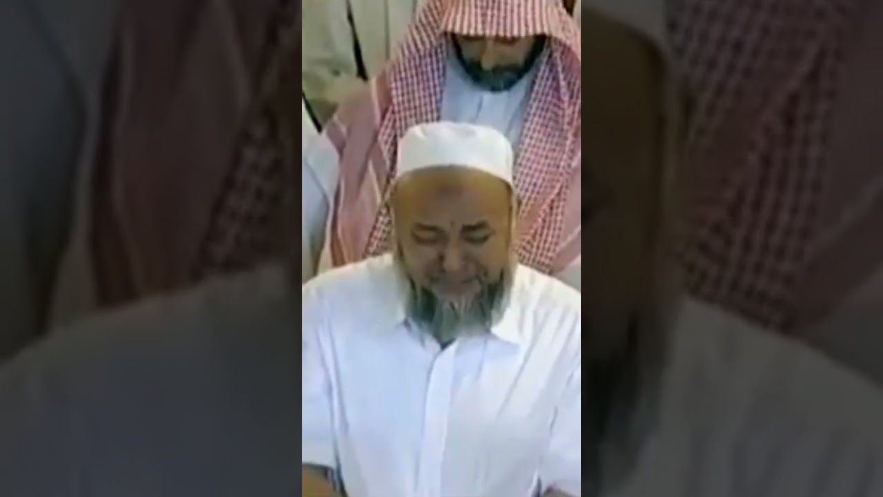 تلاوة تخشع لها القلوب 😭