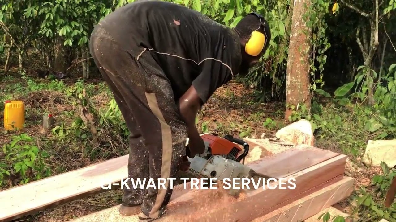 ACCRA GHANA G KWART TREE SERVICES CHAINSAW OPERATOR ODA WOOD 2X6 BOARD